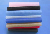 泰来涤纶（PET）无纺布是什么