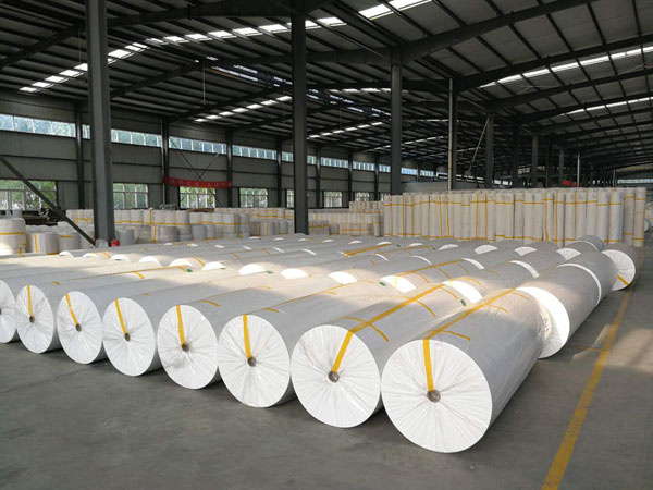 泰来狭缝式涤纶纺粘无纺布
